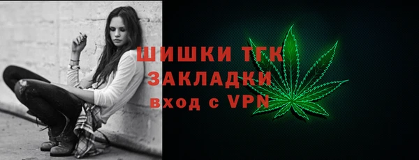 ECSTASY Богородск