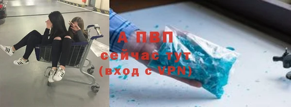 ALPHA PVP Богданович