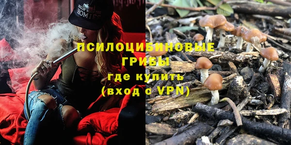 ECSTASY Богородск